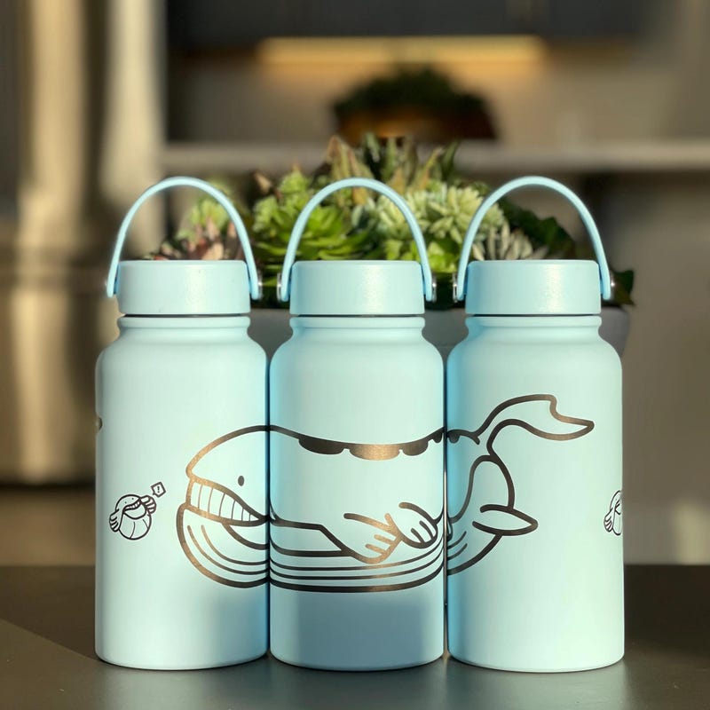 Pokémon-Inspired 22oz Tumbler Drink Bottle Travel Mug w/ Straw Lid