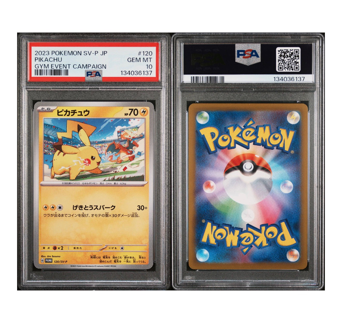 2023 POKEMON JAPANESE SV-P PROMO #120 PIKACHU GYM EVENT CAMPAIGN PSA 10 (ES)