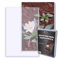 BCW 6x9 Photograph Toploaders Topload Holders 6” x 9” Photo or Postcard (25ct Pack)